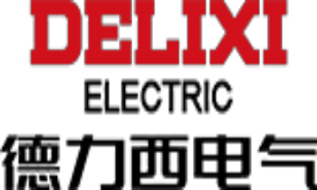 德力西电气有限公司
